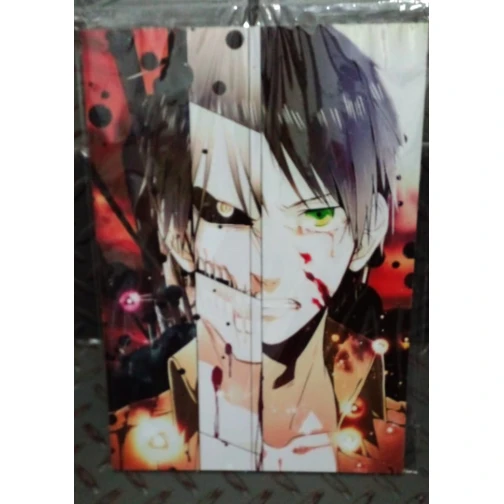 PLACA DECORATIVA ATTACK ON TITAN 