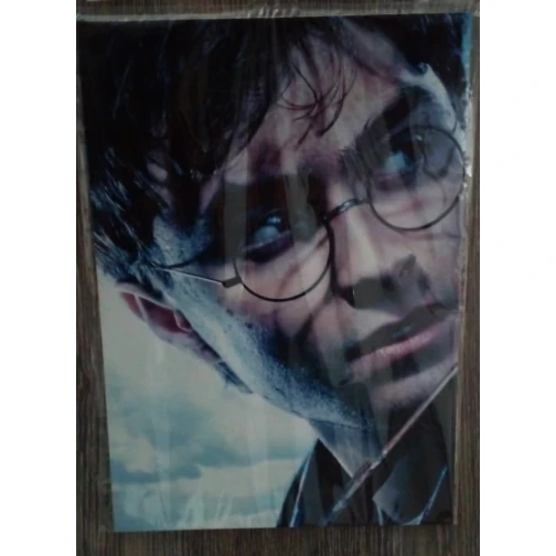 PLACA DECORATIVA HARRY POTTER 