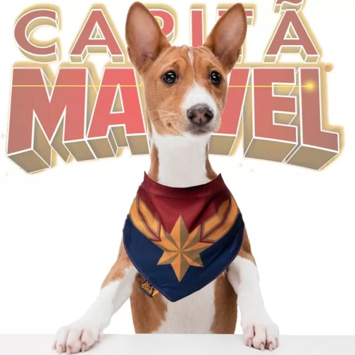 BANDANA PET CAPITÃ MARVEL 